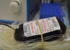 Com estoques reduzidos, HEMOSC reforça chamado por doadores de sangue