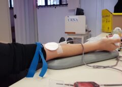 Doe sangue, torça pelo Brasil: campanha do Hemosc une Copa do Mundo e solidariedade