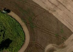 Agro mostra força e garante bilhões na economia catarinense