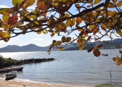 Do temporal ao sol: veja como fica o tempo em Santa Catarina neste fim de semana