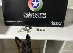 Polícia Militar apreende arma e drogas em Criciúma