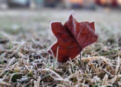 Frio de rachar! Massa polar derruba temperaturas  em todo o estado