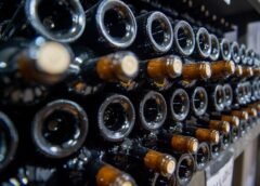 Número de vinícolas cresceu 29% em Santa Catarina desde 2020
