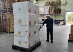Santa Catarina distribui mais 304 mil doses da vacina contra gripe e chega a 2,4 milhões