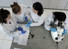Unesc conquista liderança nacional em inovação entre comunitárias no SCImago