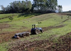 Emissão do Certificado de Imóvel Rural 2026 já está disponível em Siderópolis