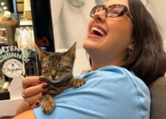 Nações Shopping tem circo, feira criativa e adoção de gatos neste fim de semana