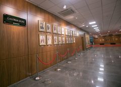 Mulheres protagonizam primeiros lugares nas eleições para a Alesc e conquistam cinco cadeiras